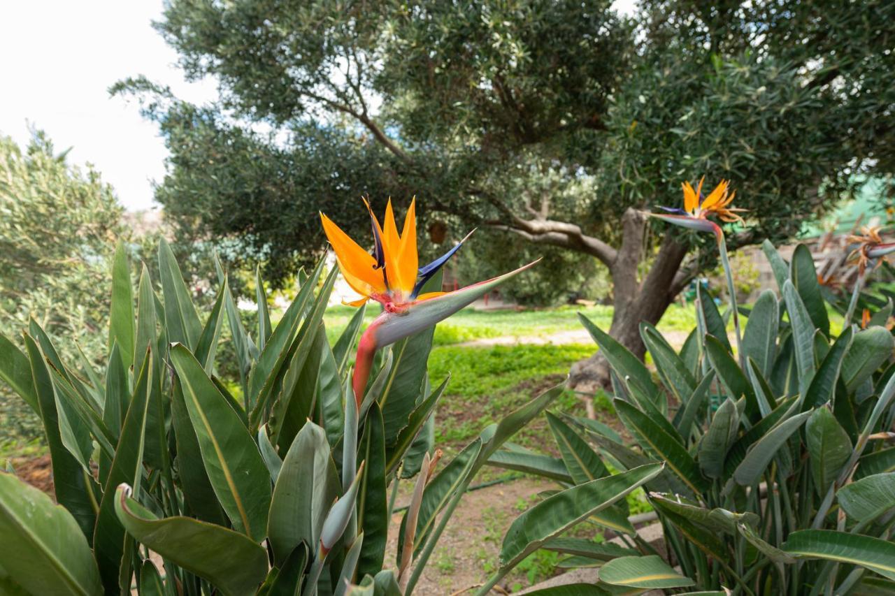 Aldeasol Villa San Nicolás Buitenkant foto